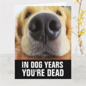 CARTE D'ANNIVERSAIRE DRÔLE DE CHIEN (Fleur jaune)