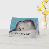 Carte d'anniversaire drôle de chiot (Fleur jaune)