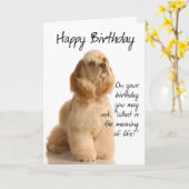 Carte d'anniversaire drôle de Cocker Spaniel (Fleur jaune)