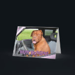 Carte d'anniversaire drôle de dogue de bordeaux<br><div class="desc">Carte de voeux française drôle et folle de mastiff. Le texte sur l'avant lit le "joyeux anniversaire !" et l'intérieur des textes lit le "espoir que vous avez un jour splendide !"</div>