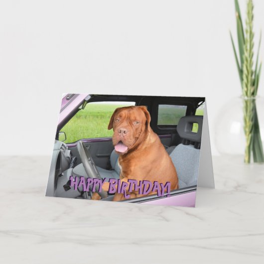 Carte d'anniversaire drôle de dogue de bordeaux (Devant)