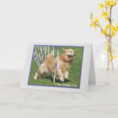 Carte d'anniversaire drôle de golden retriever (Fleur jaune)