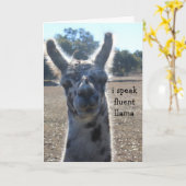 Carte d'anniversaire drôle de lama, je parle le (Fleur jaune)