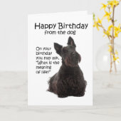 Carte d'anniversaire drôle de Scottie (Fleur jaune)