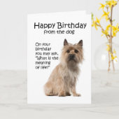 Carte d'anniversaire drôle de Terrier de cairn (Fleur jaune)