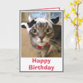 Carte d'anniversaire drôle de vache et chat (Fleur jaune)