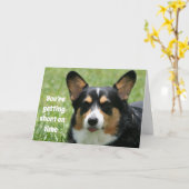 Carte d'anniversaire drôle Welsh Corgi (Fleur jaune)
