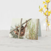 Carte d'anniversaire du bébé Orangoutan (Fleur jaune)