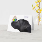 Carte d'anniversaire du Black Lab - Anniversaire d (Fleur jaune)