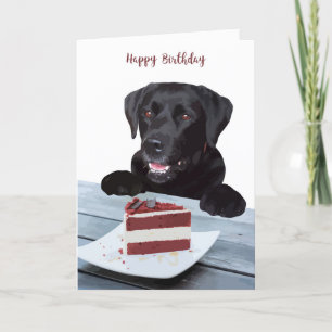 Carte d'anniversaire du Black Lab - Carte d'annive