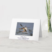 Carte d'anniversaire du canard Mallard (Dos)