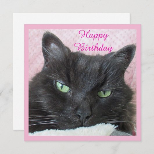 Carte d'anniversaire du chat (Devant / Derrière)