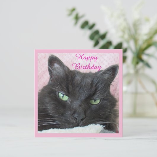 Carte d'anniversaire du chat (Debout devant)