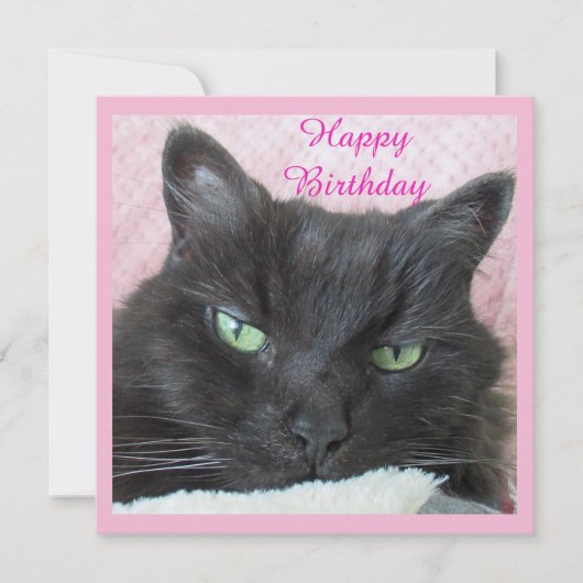 Carte d'anniversaire du chat (Devant)