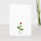 Carte d'anniversaire du chat (Dos)