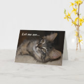 Carte d'anniversaire du chat Cool réel (Fleur jaune)