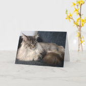 Carte d'anniversaire du chat de coon du Maine (Fleur jaune)
