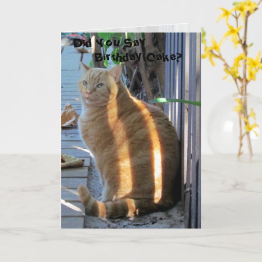 Carte d'anniversaire du chat gras (Fleur jaune)