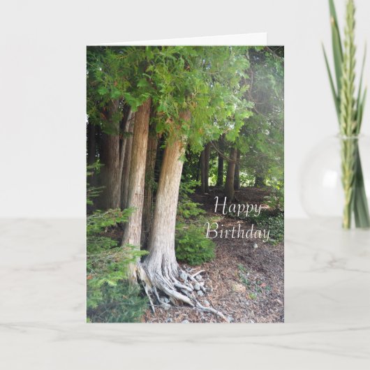 Carte d'anniversaire du chemin forestier (Devant)
