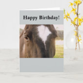 Carte d'anniversaire du cheval (Fleur jaune)