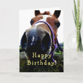 Carte d'anniversaire du cheval (Devant)