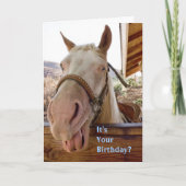 Carte d'anniversaire du cheval (Devant)