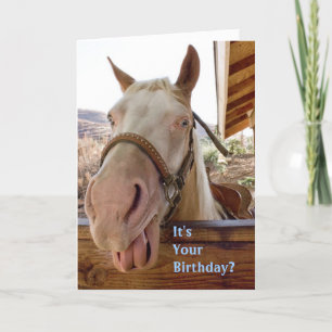 Carte d'anniversaire du cheval