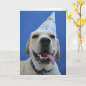 Carte d'anniversaire du chien amusant (Fleur jaune)