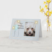 Carte d'anniversaire du chien de compagnie Lhasa A (Fleur jaune)