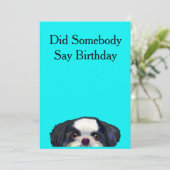 Carte d'anniversaire du chien de Cute Shih Tzu (Debout devant)