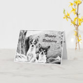 Carte d'anniversaire du Chihuahua (Fleur jaune)