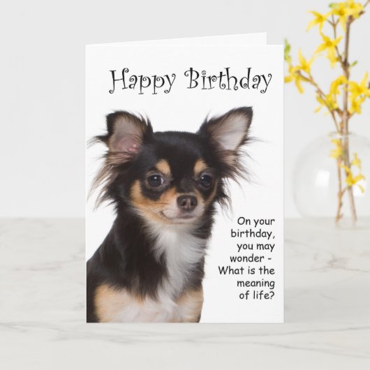 Carte d'anniversaire du Chihuahua (Fleur jaune)