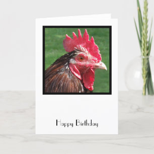 Carte d'anniversaire du coq
