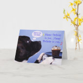 Carte d'anniversaire du courrier taureau du Staffo (Fleur jaune)