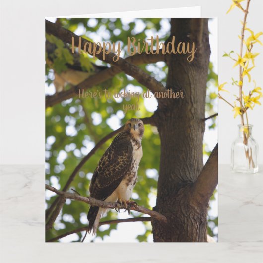 Carte d'anniversaire du faucon à queue rouge (Fleur jaune)