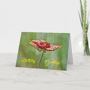 Carte d'anniversaire du Fleur sauvage indien