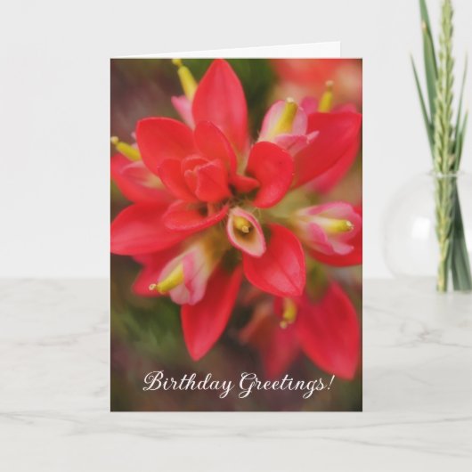 Carte d'anniversaire du Fleur sauvage indien Paint (Devant)