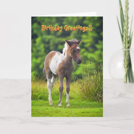 Carte d'anniversaire du Foie Dartmoor Pony (Devant)