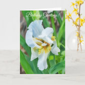 Carte d'anniversaire du Jardin d'art Flower Iris B (Fleur jaune)