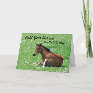 Carte d'anniversaire du Jeune Cheval