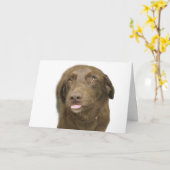 Carte d'anniversaire du laboratoire de chocolat (Fleur jaune)