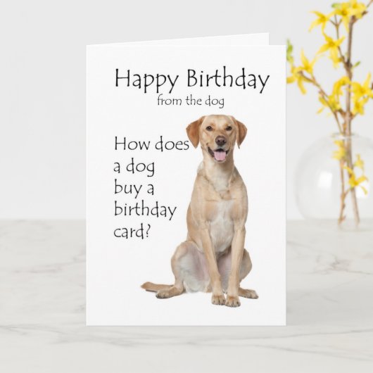 Carte d'anniversaire du Laboratoire Jaune (Fleur jaune)