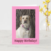 Carte d'anniversaire du laboratoire rose-jaune (Fleur jaune)