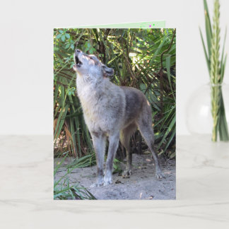Carte d'anniversaire du loup hurlant