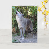 Carte d'anniversaire du loup hurlant (Fleur jaune)