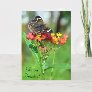 Carte d'anniversaire du papillon commun SIL