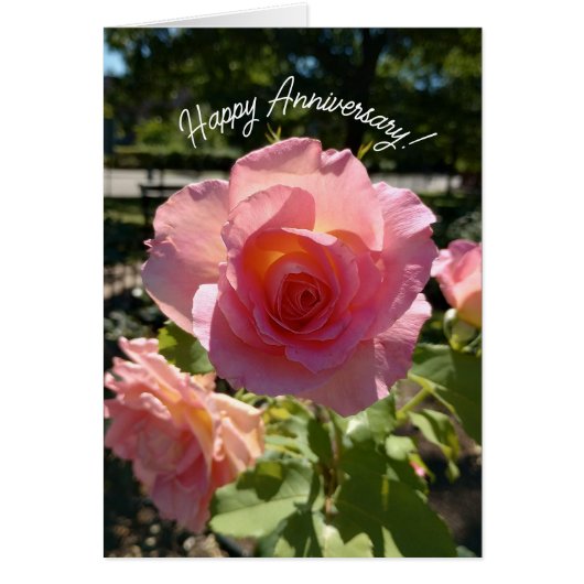 Carte d'anniversaire du Rose de thé rose radiant (Devant)