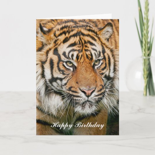 Carte d'anniversaire du tigre (Devant)