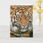 Carte d'anniversaire du tigre (Fleur jaune)