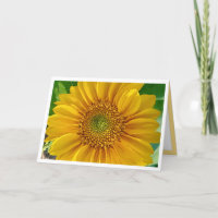 Carte d'anniversaire du tournesol